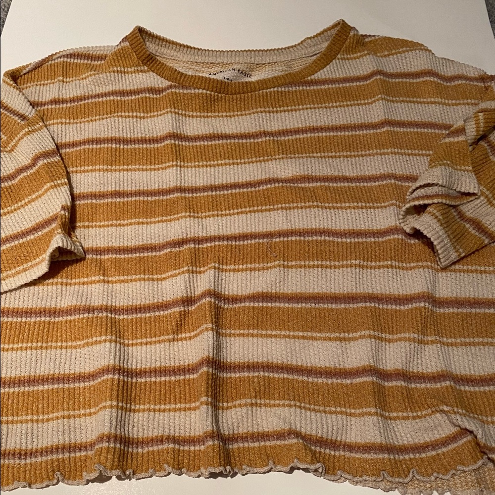 ✨American Eagle Crop Top